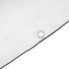 vidaXL Transparente Plane mit &Ouml;sen 2x4 m Polyethylen