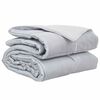 vidaXL Ganzjahresbettdecke 140 x 200 cm 300 g/m&sup2; Silber