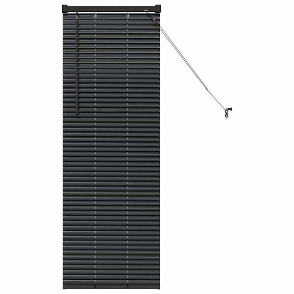 vidaXL Fensterjalousie mit Vorh&auml;ngen Schwarz Aluminium