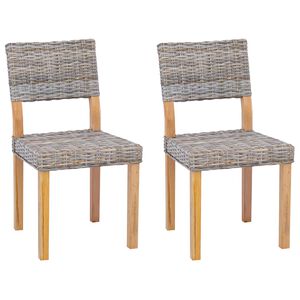 vidaXL Esszimmerstuhl GENDT 2 stk. Kubu Rattan Kubu Grau