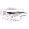 vidaXL Tagesbett Ausziehbar mit Schubladen Schwarz 80x200 cm Samt