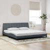 vidaXL Bettgestell ohne Matratze "Hanko" Dunkelgrau 200x200 cm Samt