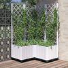 vidaXL Pflanzk&uuml;bel mit Rankgitter Wei&szlig; 80x80x136 cm PP