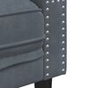 vidaXL Chesterfield-Sofa mit Nackenrollen 2-Sitzer Dunkelgrau Samt