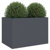 vidaXL Pflanzk&uuml;bel Anthrazit 62x47x46 cm Stahl