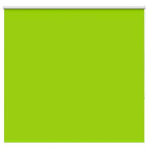 vidaXL Verdunkelungsrollo Gr&uuml;n 165x150cm Stoffbreite 161,6cm Polyester