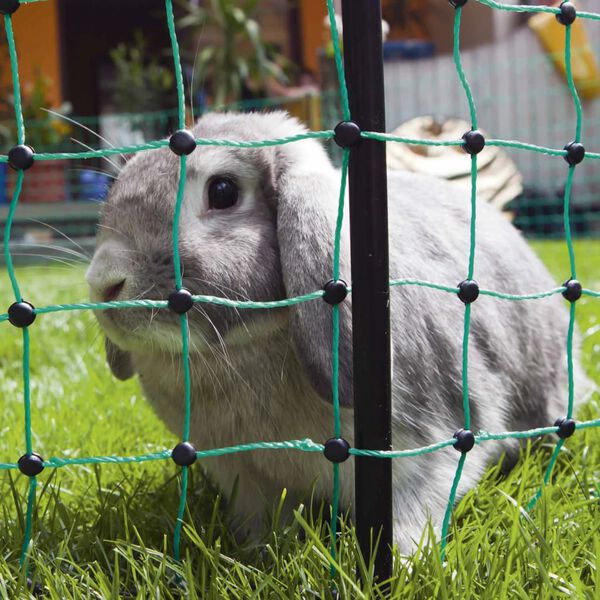 Kerbl Elektro-Kaninchennetz-Set 65 cm 292209