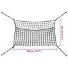 vidaXL Heunetze 2 Stk. Rechteckig Schwarz 200x120 cm PP
