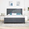 vidaXL Boxspringbett mit Matratze Dunkelgrau 180 x 200 cm Samt