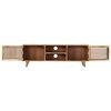 vidaXL TV-Schrank 120x30x40 cm Massivholz Mango