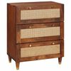 vidaXL Sideboard Braun 60 x 33 x 75 cm Massivholz Mango