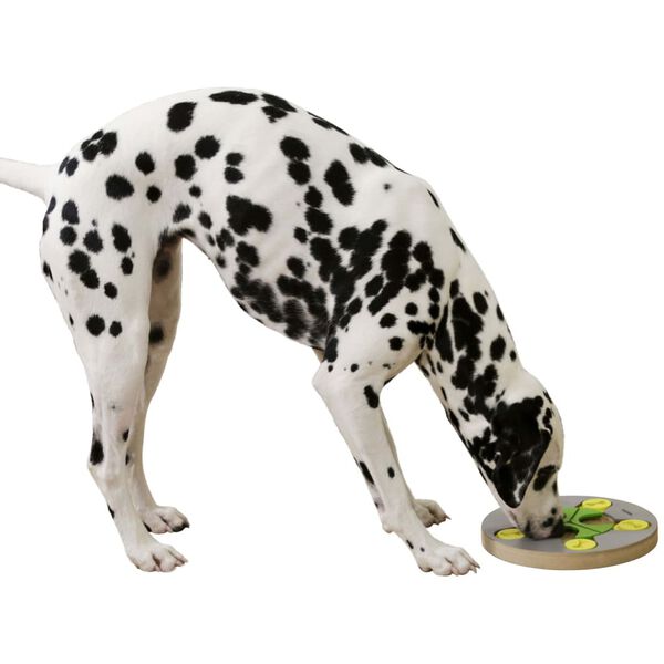 Kerbl Denk- und Lernspielzeug f&uuml;r Hunde Switch 25&times;2,5 cm