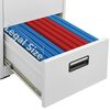 vidaXL Aktenschrank Hellgrau 46x62x72,5 cm Stahl