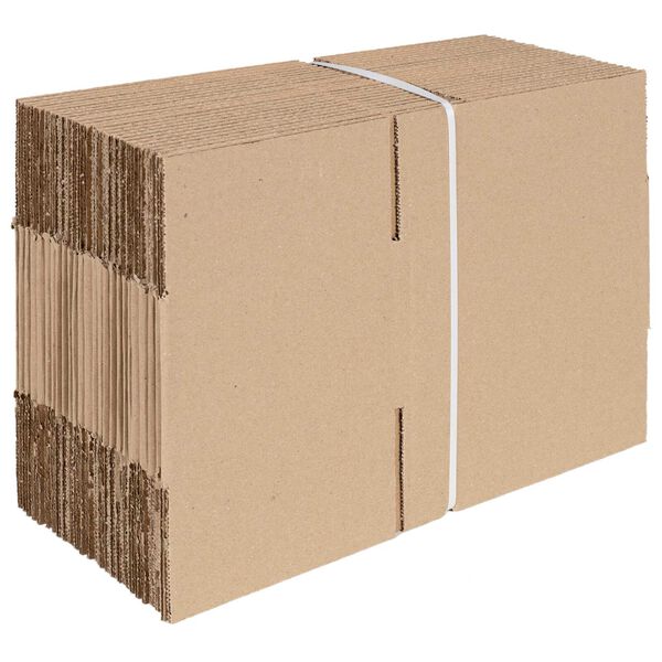 vidaXL Faltbox mit Speicher 50 pcs Natur 20 x 15 x 10 cm Karton