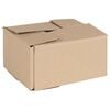 vidaXL Faltbox mit Speicher 50 Stk. Natur 20 x 15 x 10 cm Karton