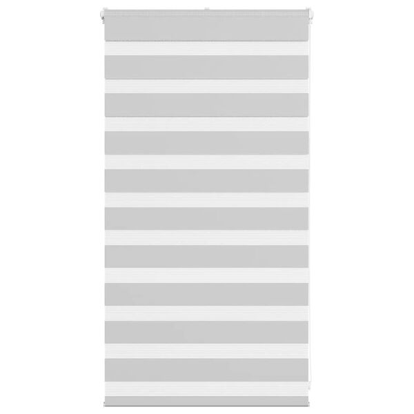 vidaXL Doppelrollo Hellgrau 70x100 cm Stoffbreite 65,9 cm Polyester