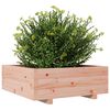 vidaXL Pflanzk&uuml;bel 70x70x26,5 cm Massivholz Douglasie