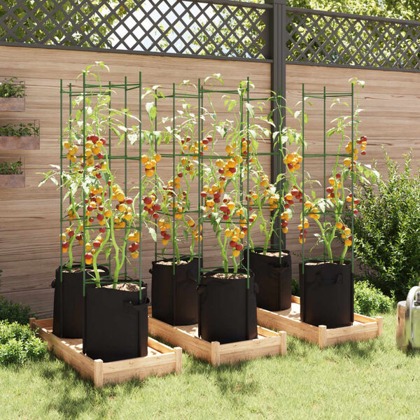 vidaXL Tomatenk&auml;fige mit Pflanzs&auml;cken 6 Stk. 154 cm Stahl und PP