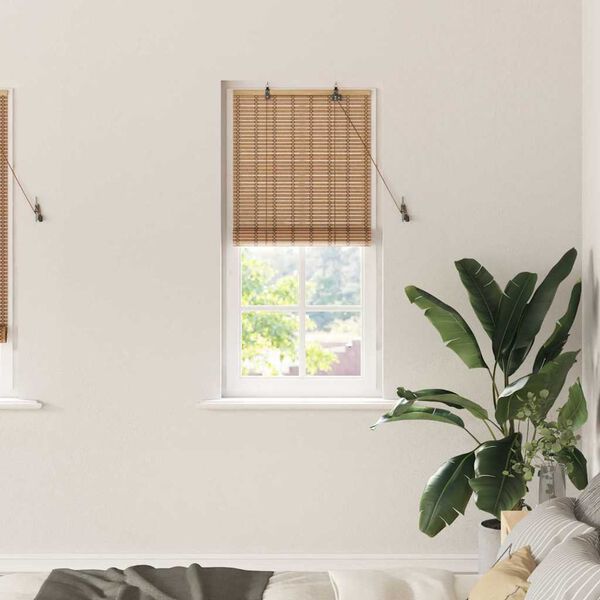 vidaXL Rollo mit Vorh&auml;ngen Natur 60 x 220 cm Bambus