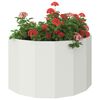 Produkt-Miniaturbild 3 von 12