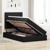 vidaXL Bett mit Stauraum und LED Schwarz 120 x 190 cm Polyester
