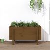 vidaXL Hochbeet Honigbraun 101x50x57 cm Massivholz Kiefer