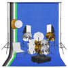 vidaXL Fotostudio-Set mit Lampen, Schirmen, Hintergrund und Reflektor
