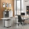 Germania Rollschrank GW-Profi 2.0 42x49x61 cm Hellgrau und Graphit