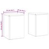 vidaXL Pflanzenständer 2 pcs Anthrazit 24 x 24 x 35 cm Stahl