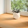 vidaXL Fensterb&auml;nke 2 Stk. Hellbraun 80x20x2 cm Massivholz Eiche