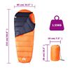 vidaXL Mumienschlafsack f&uuml;r Erwachsene Camping 3 Jahreszeiten