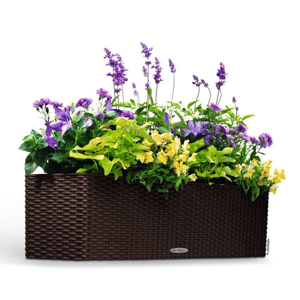 LECHUZA Pflanzgef&auml;&szlig; BALCONERA Cottage 80 ALL-IN-ONE Mokka