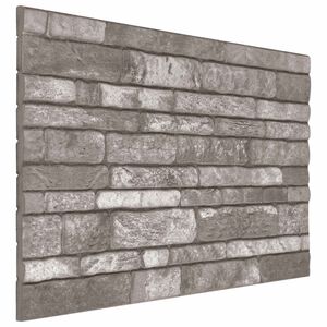 vidaXL Wandpaneele 10 pcs Dunkelgrau 100 x 50 cm EPS-Schaum