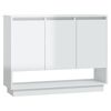 High_gloss_white