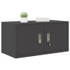 vidaXL Aufbewahrungsschrank Schwarz 80 x 40 x 40 cm Stahl