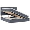 vidaXL LED-Speicherbett mit Matratze Dunkelgrau 160 x 200 cm Samt