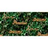 Noordwand Tapete Good Vibes Neon Letter with Plants Gr&uuml;n und Orange