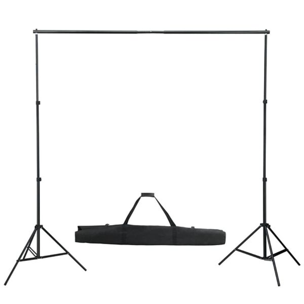 vidaXL Fotohintergrund-System 600 x 300 cm Schwarz