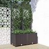 vidaXL Garten-Pflanzgef&auml;&szlig; mit Spalier Schwarz 80 x 40 x 136 cm PP
