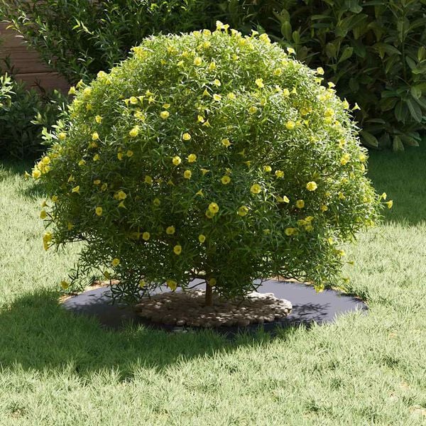 vidaXL geeignet f&uuml;r flachen Baumring Anthrazit &Oslash;30 / 60 cm Stahl