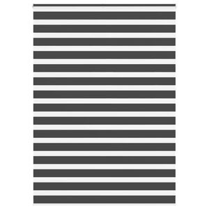 vidaXL Doppelrollo Schwarz 155x230 cm Stoffbreite 150,9 cm Polyester