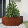 vidaXL Pflanzk&uuml;bel Rostig 138x120x45 cm Cortenstahl