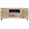 vidaXL TV-Schrank 105x33,5x46 cm Massivholz Mango