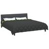 vidaXL Winterbettdecke Gr&uuml;n und Anthrazit 220 x 260 cm Mikrofaser