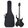 vidaXL E-Gitarre f&uuml;r Anf&auml;nger mit Tasche Schwarz 4/4 39"