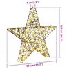 vidaXL 3D Stern mit 50 LEDs Warmwei&szlig; 55 x 52,5 x 9 cm Rattan
