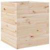 Natural_pine