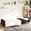 vidaXL Schlafsofa 2-Sitzer Schwarz Samt