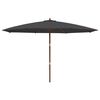vidaXL Sonnenschirm mit Holzmast Schwarz 400x273 cm