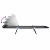 vidaXL Klappbare Sonnenliege 2-Person 2 pcs Schwarz 182 x 55 x 85,5 cm